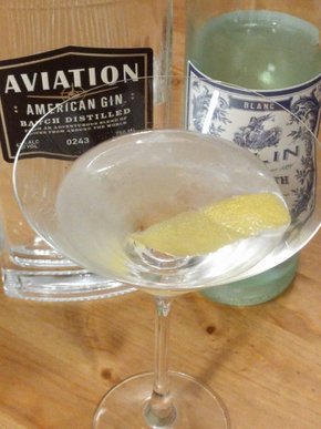 Closeup photo of the clear cocktail in a martini glass